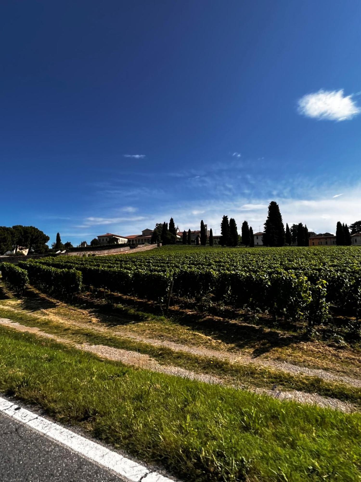 Anna Appartamento Vacanze Monticelli Brusati Exterior foto